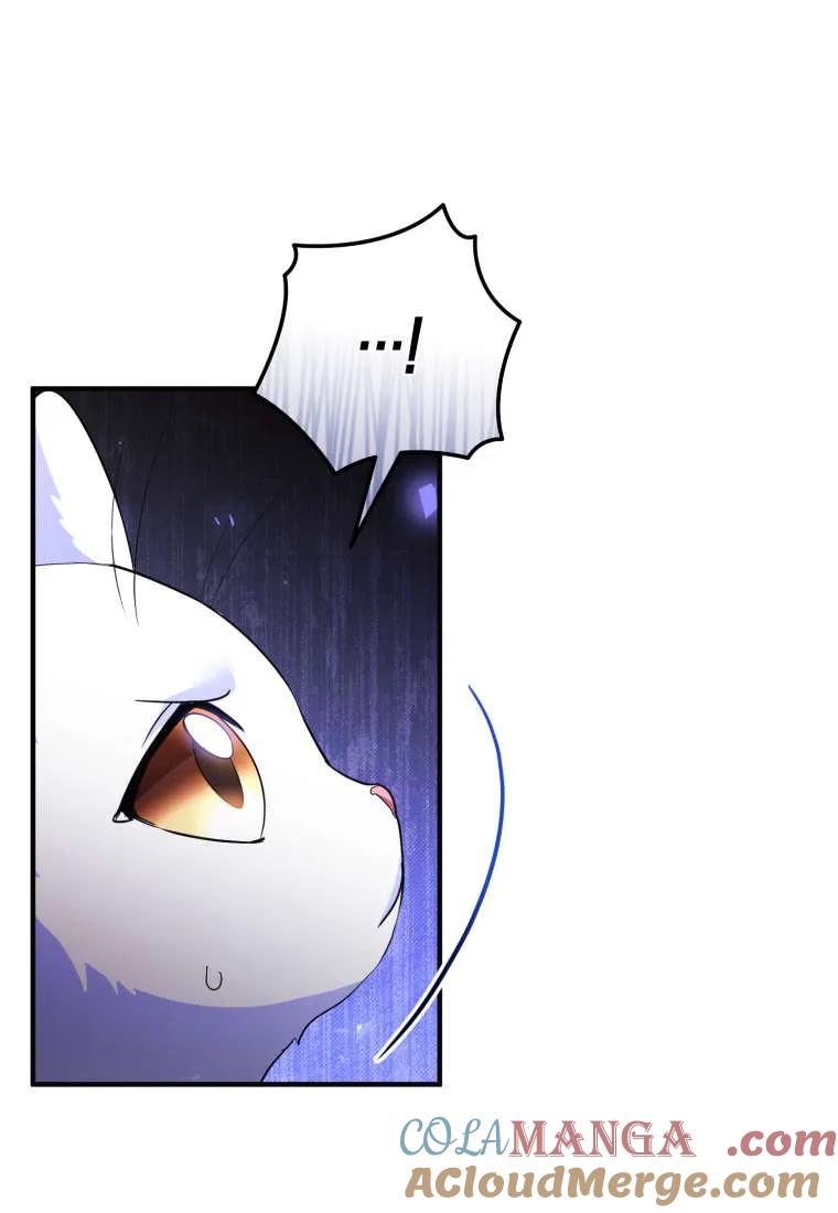 成为苏尔坦珍爱的猫咪 第55话 第82页