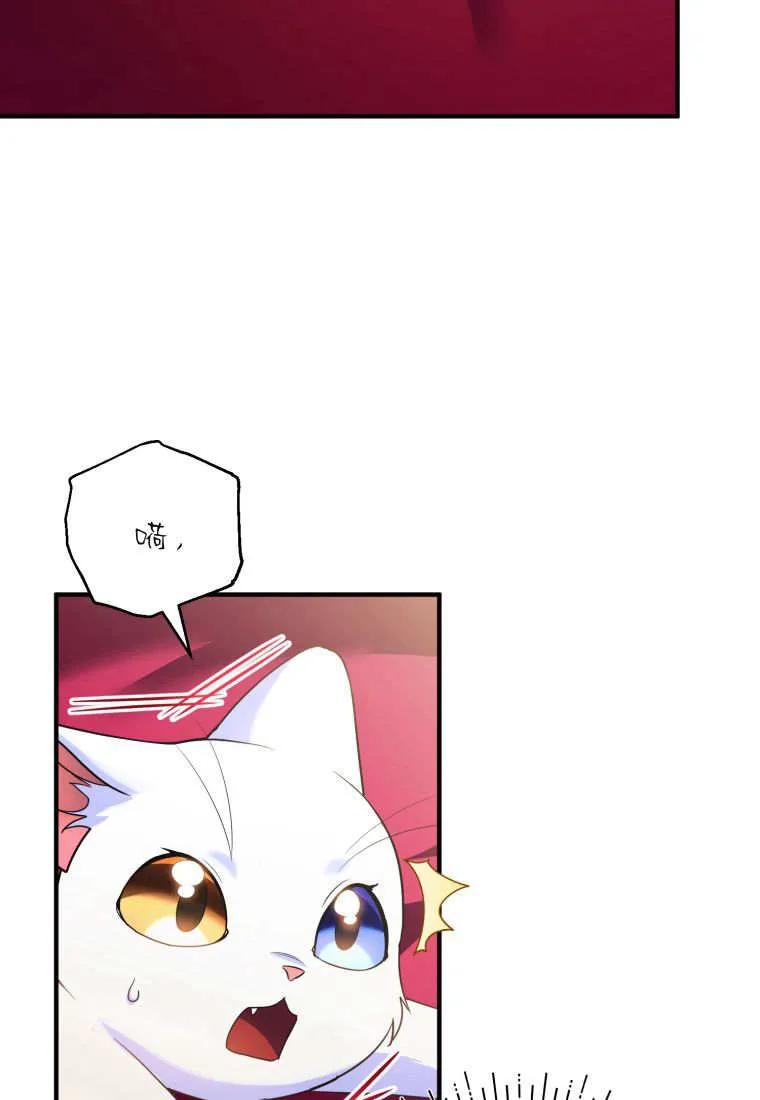 成为苏尔坦珍爱的猫咪 第56话 第54页