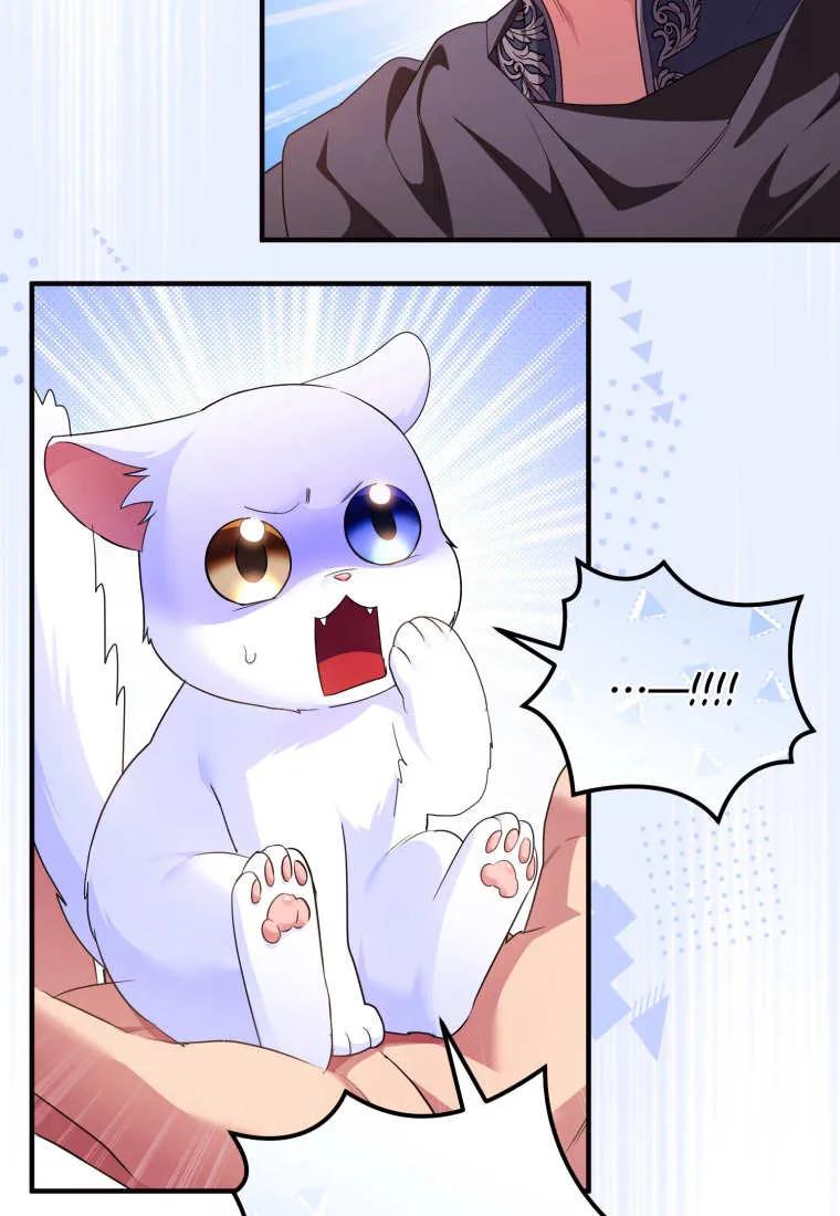 成为苏尔坦珍爱的猫咪 第56话 第32页