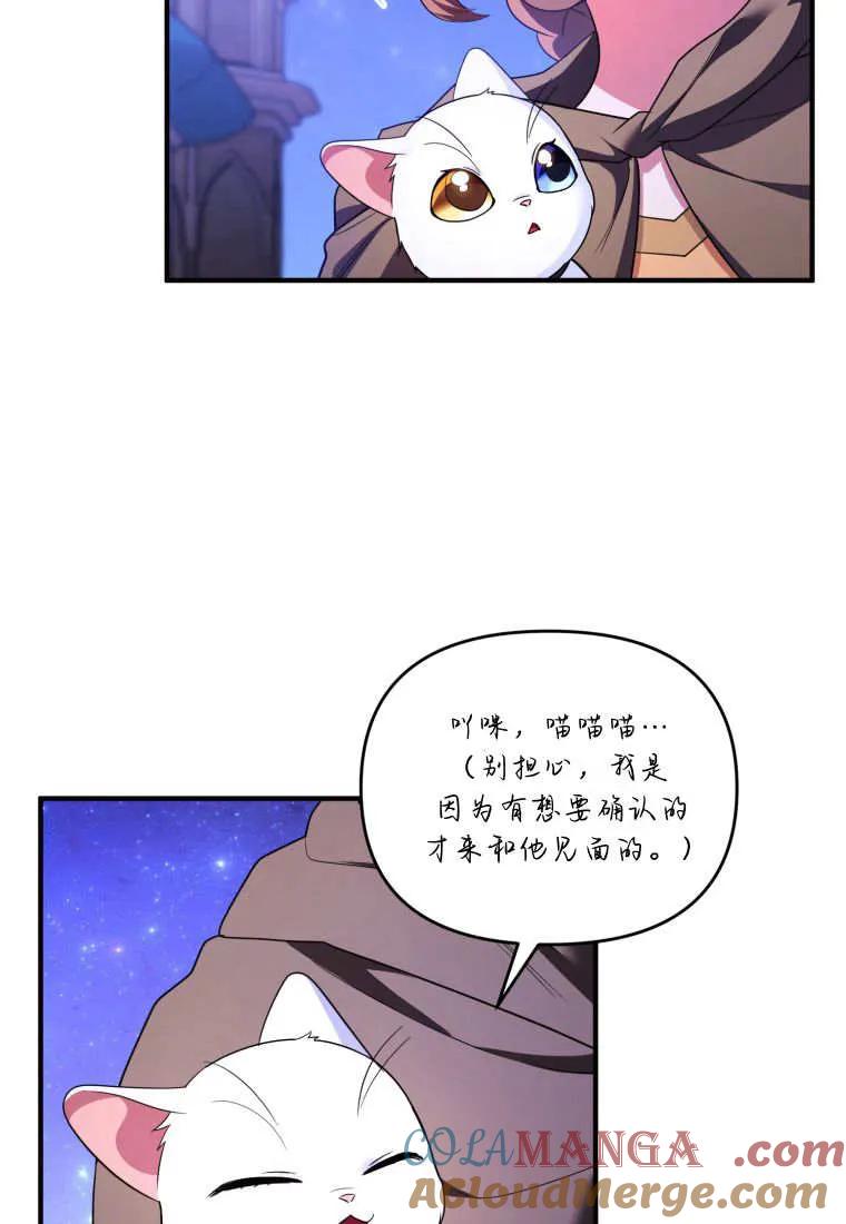 成为苏尔坦珍爱的猫咪 第56话 第4页