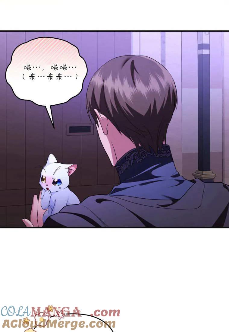 成为苏尔坦珍爱的猫咪 第56话 第22页
