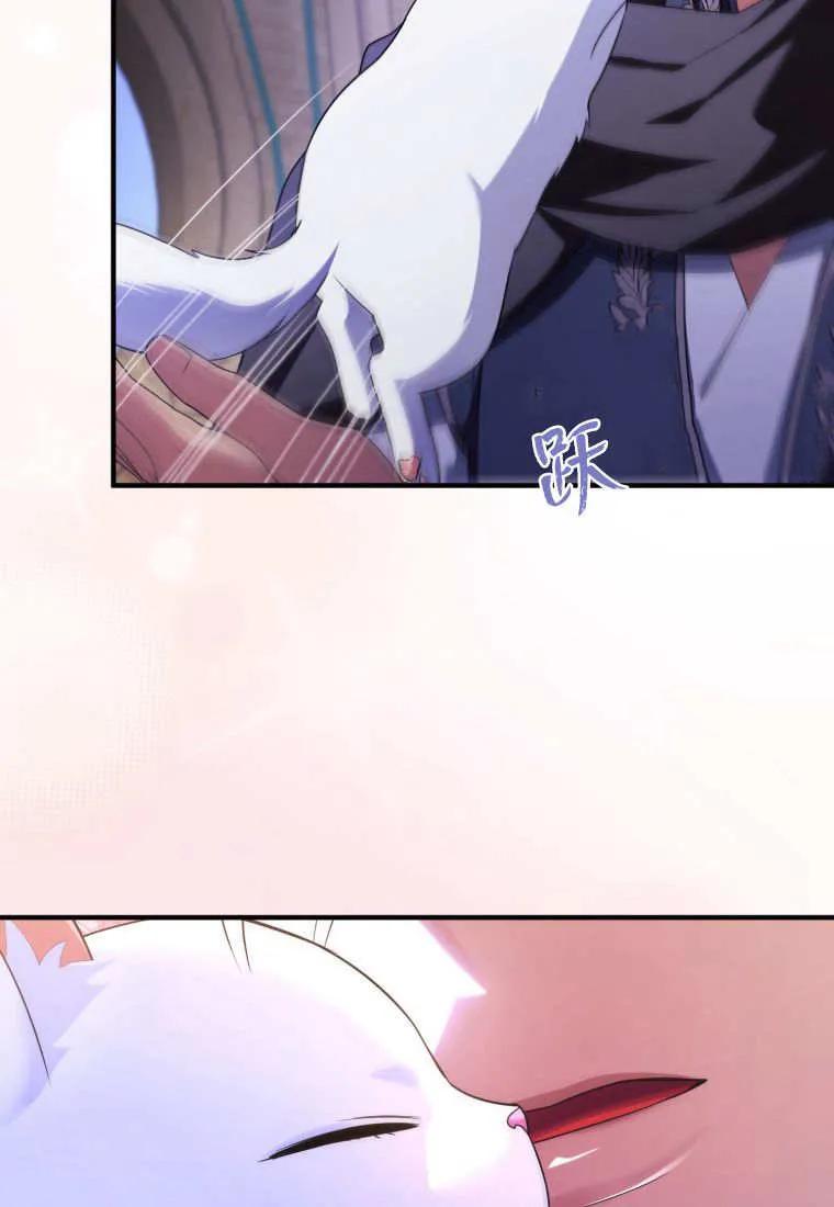 成为苏尔坦珍爱的猫咪 第56话 第26页