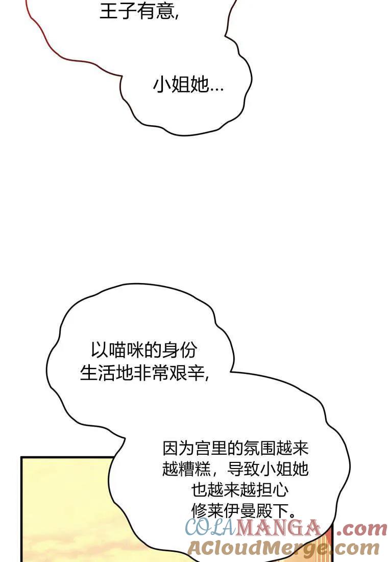 成为苏尔坦珍爱的猫咪 第56话 第49页