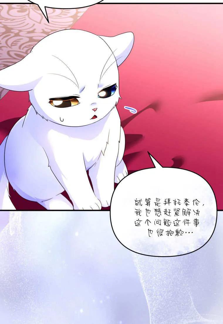 成为苏尔坦珍爱的猫咪 第56话 第60页