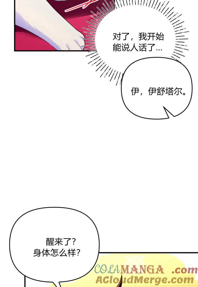 成为苏尔坦珍爱的猫咪 第56话 第55页
