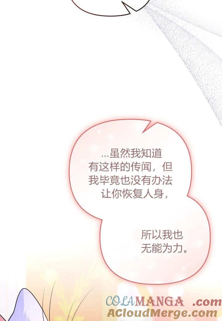 成为苏尔坦珍爱的猫咪 第56话 第64页