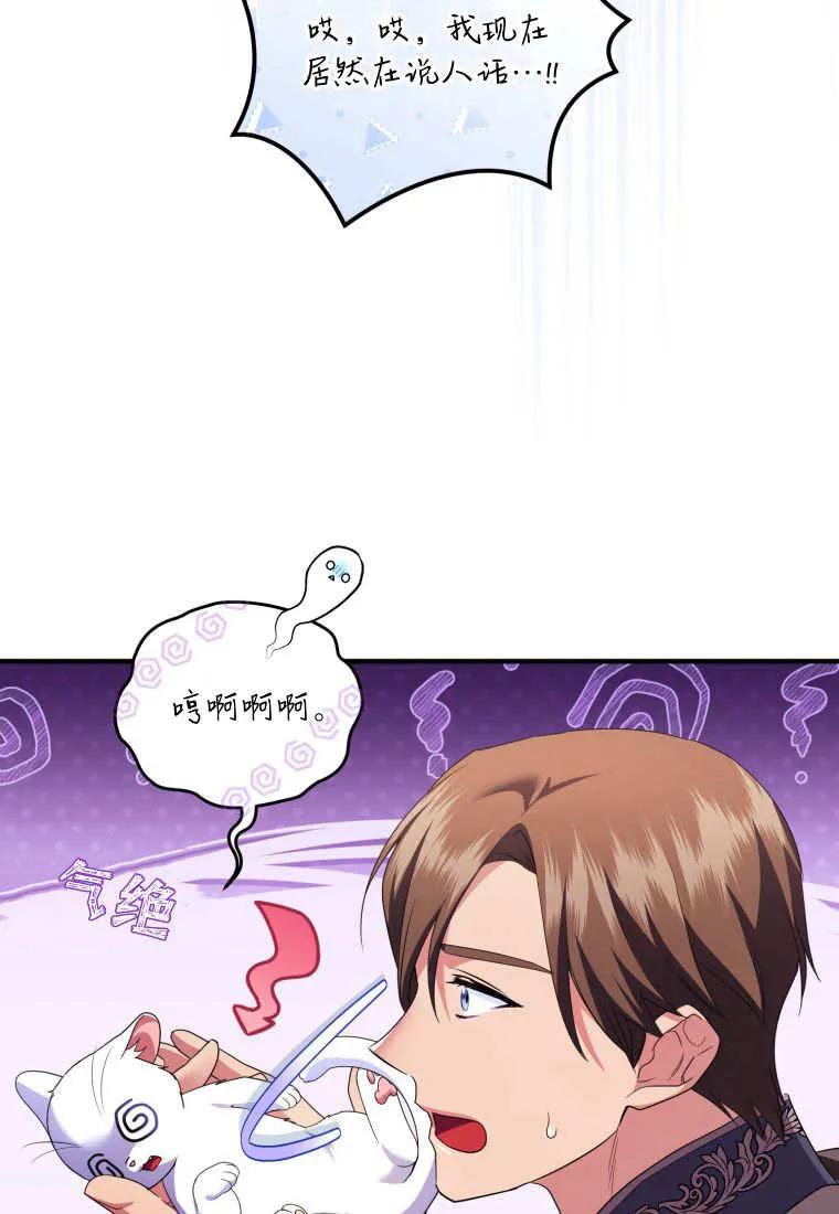 成为苏尔坦珍爱的猫咪 第56话 第33页