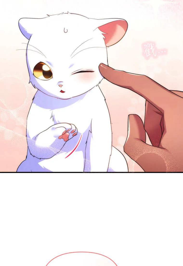 成为苏尔坦珍爱的猫咪 第56话 第71页
