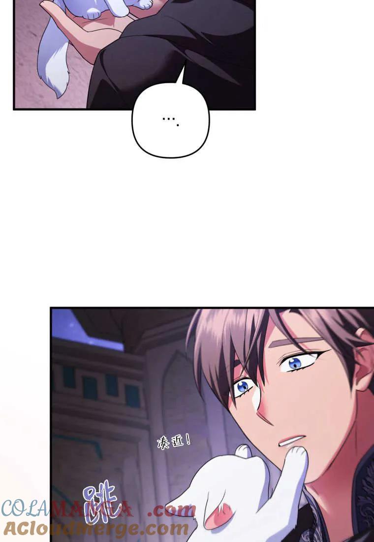 成为苏尔坦珍爱的猫咪 第56话 第25页