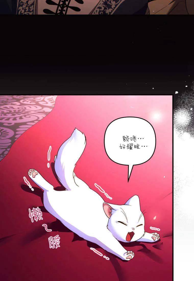 成为苏尔坦珍爱的猫咪 第56话 第53页