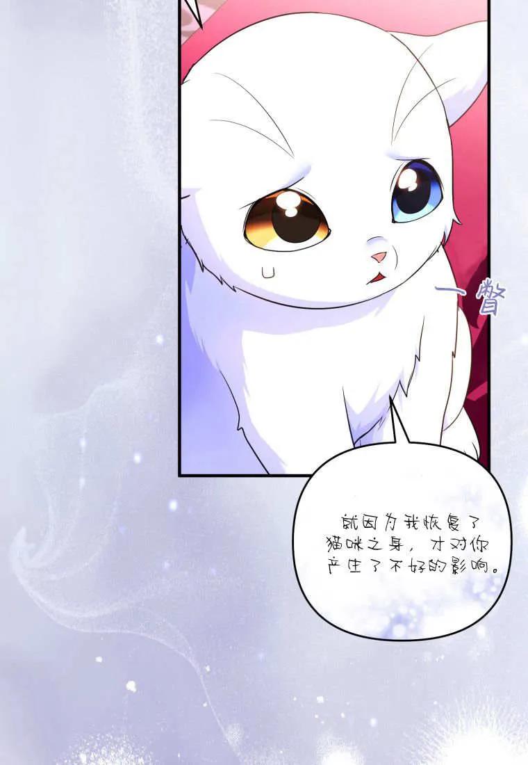 成为苏尔坦珍爱的猫咪 第56话 第62页