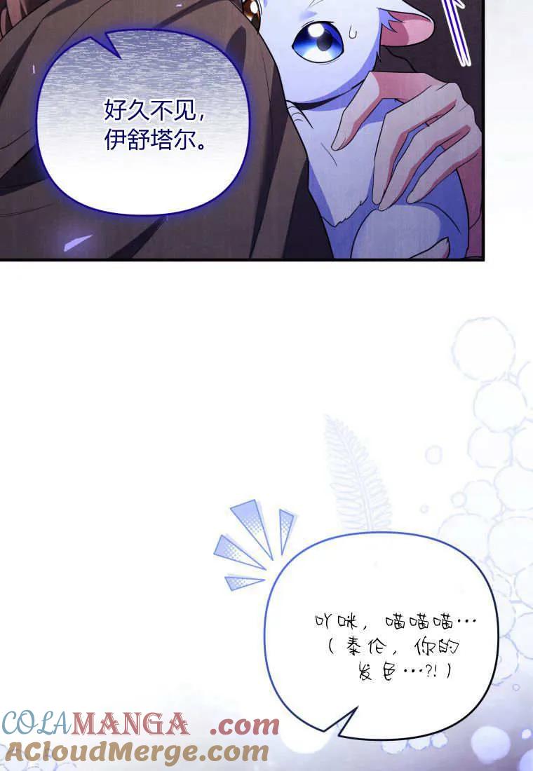 成为苏尔坦珍爱的猫咪 第56话 第10页