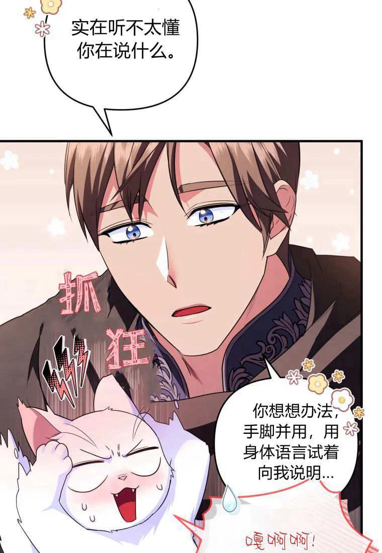 成为苏尔坦珍爱的猫咪 第56话 第23页