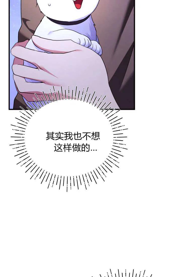 成为苏尔坦珍爱的猫咪 第56话 第5页