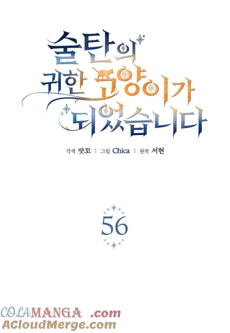 成为苏尔坦珍爱的猫咪 第56话 第13页