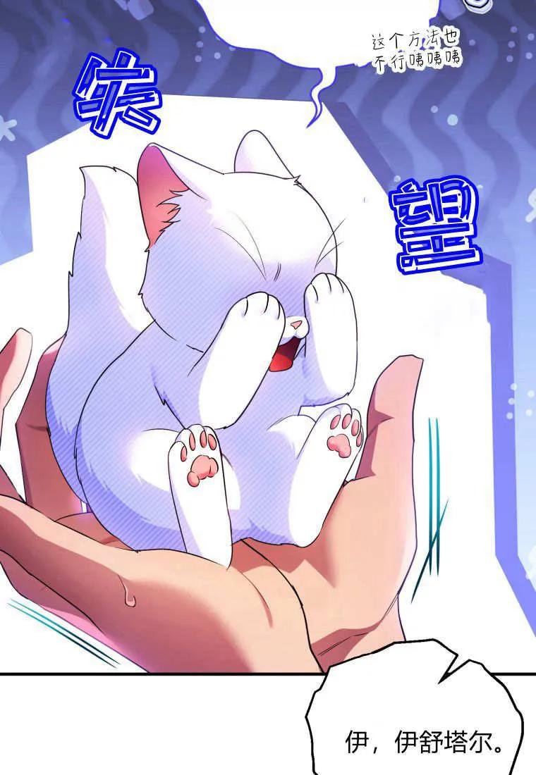 成为苏尔坦珍爱的猫咪 第56话 第30页