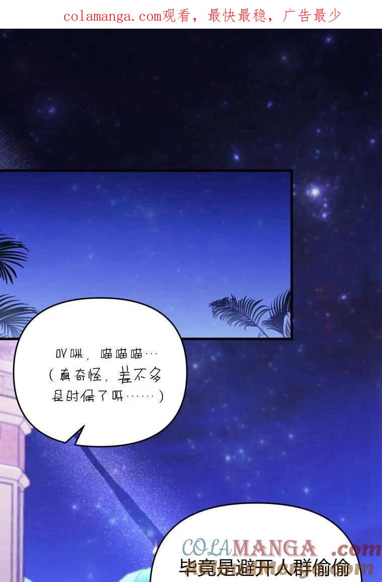 成为苏尔坦珍爱的猫咪 第56话 第1页