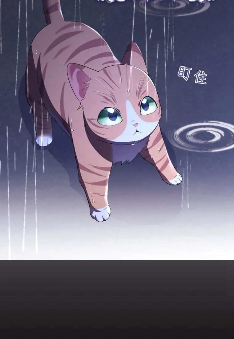 成为苏尔坦珍爱的猫咪 第57话 第39页
