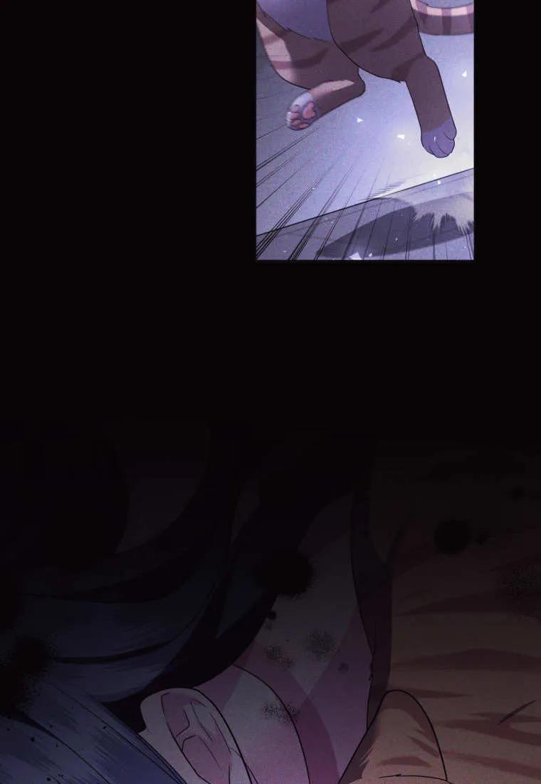 成为苏尔坦珍爱的猫咪 第57话 第47页