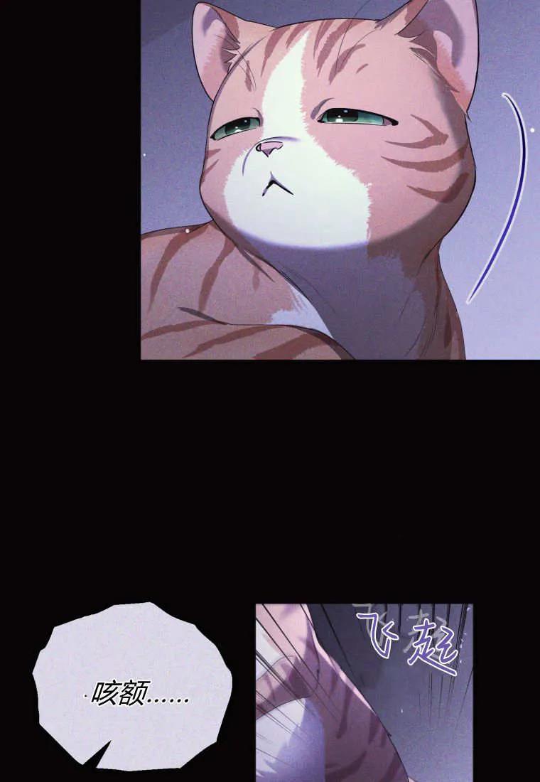 成为苏尔坦珍爱的猫咪 第57话 第46页