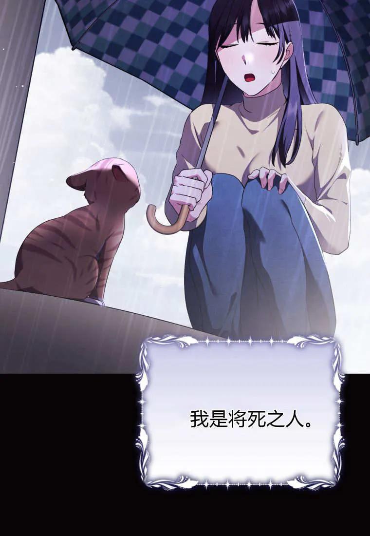 成为苏尔坦珍爱的猫咪 第57话 第43页