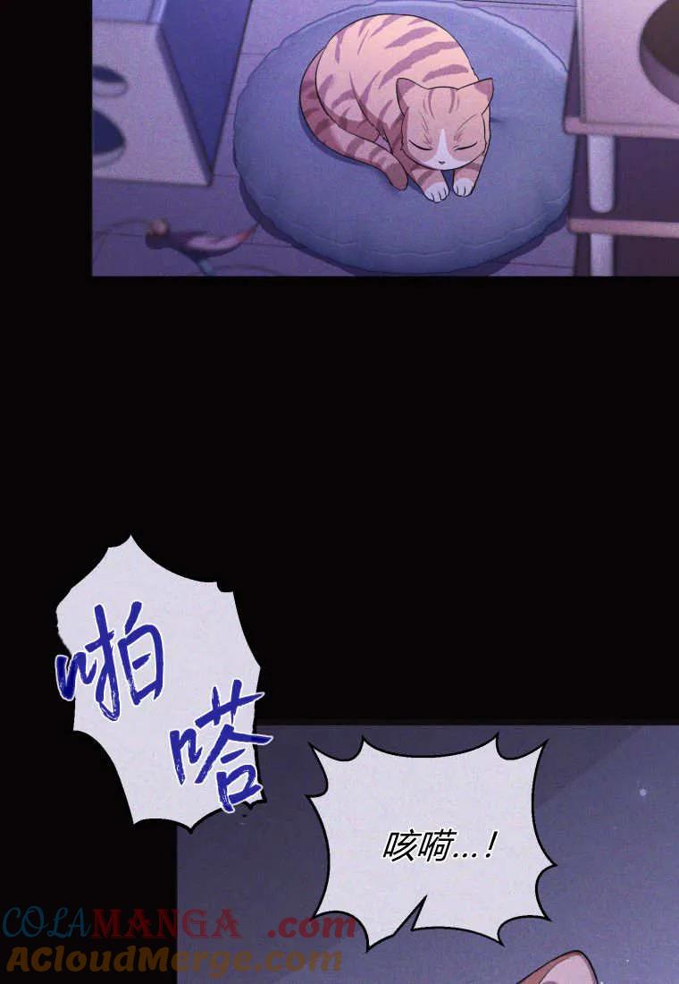 成为苏尔坦珍爱的猫咪 第57话 第45页