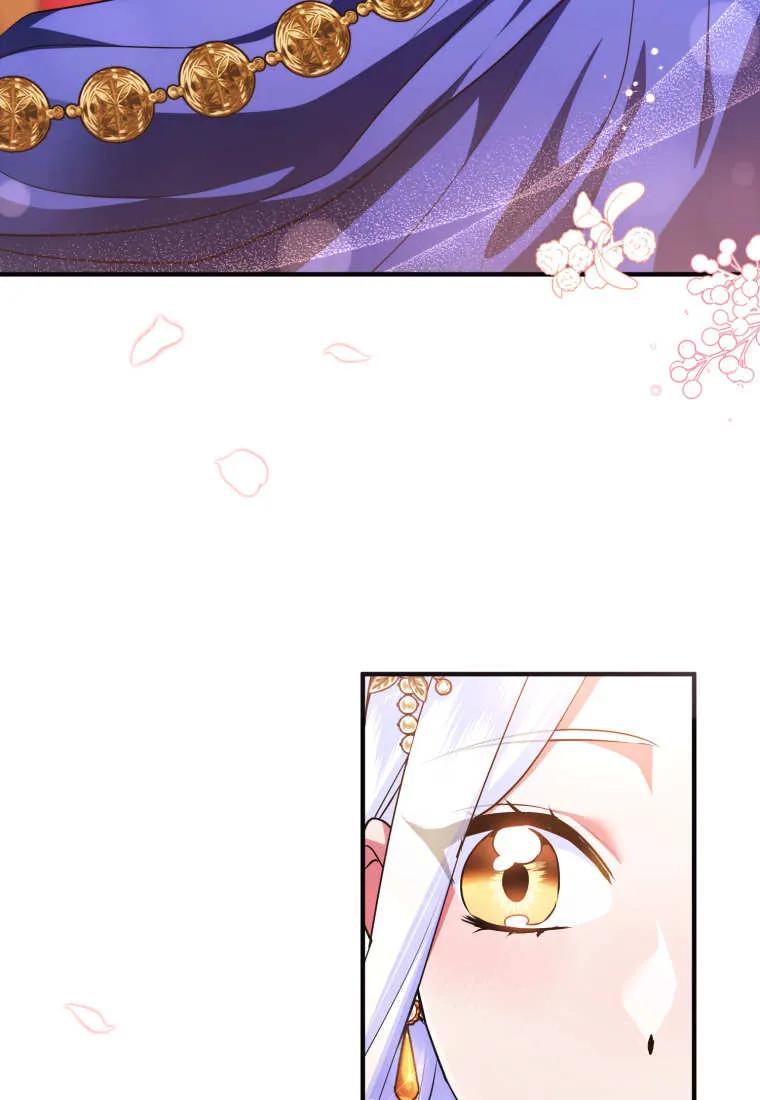 成为苏尔坦珍爱的猫咪 第57话 第74页