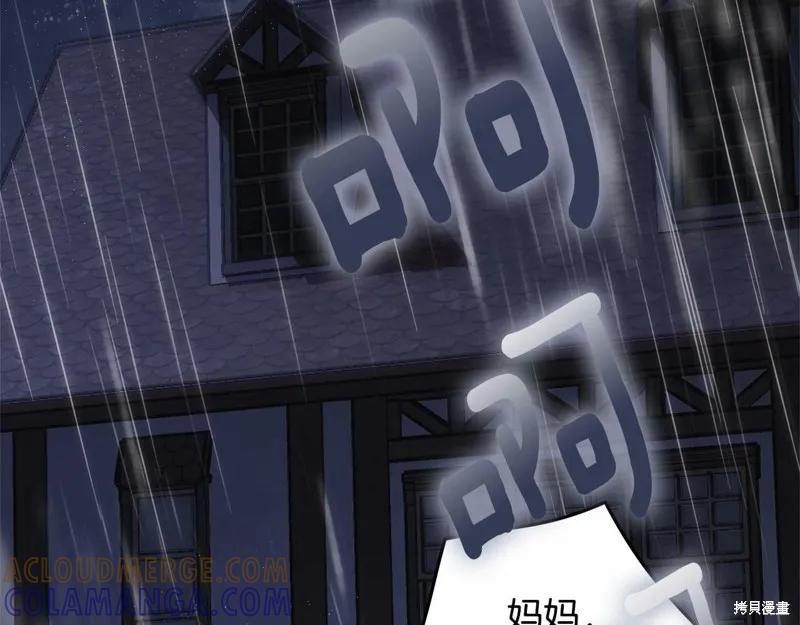 《明明是冷美人小姐却变成了忠犬大少爷》第95话 第109页