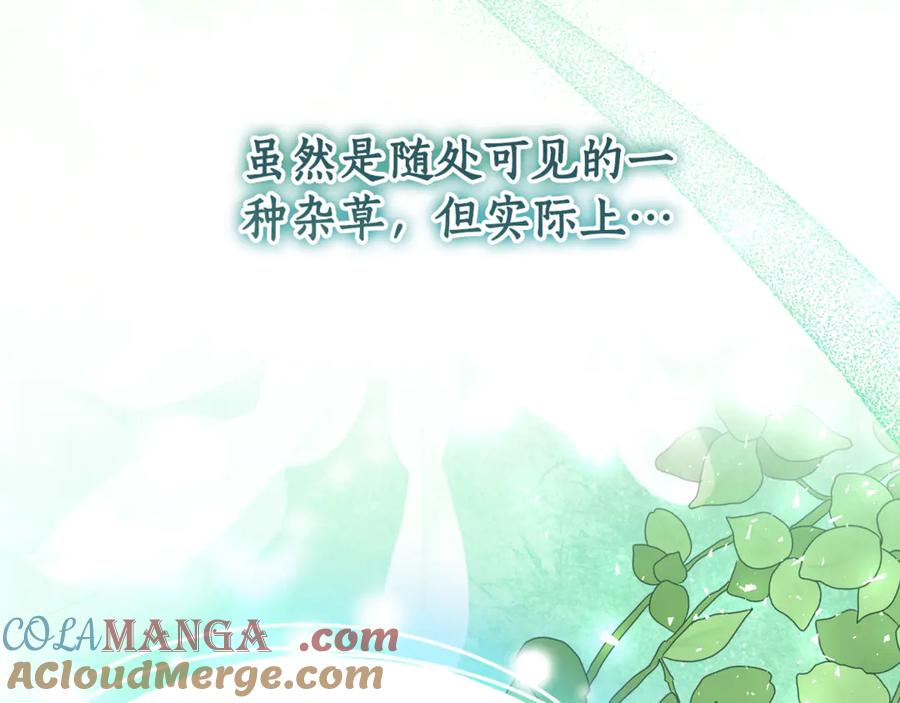 《刻薄公爵家的合约女儿》第6话 做药给妈妈 第41页
