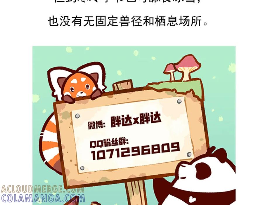 《胖达x胖达》第92话 第31页