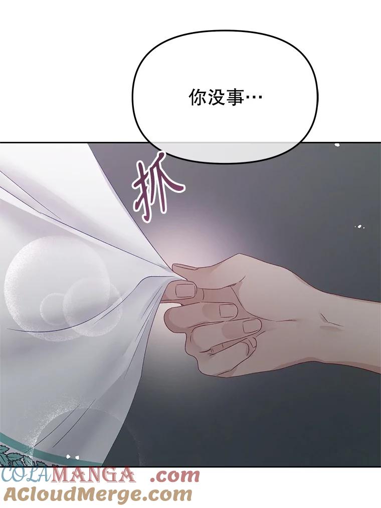《不要相信那本日记》85.遇刺 第49页
