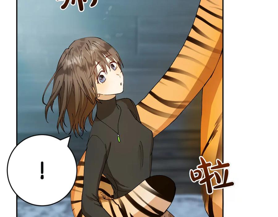 《和猛虎大人的恋爱旅行》第3话 不错的同伴 第143页