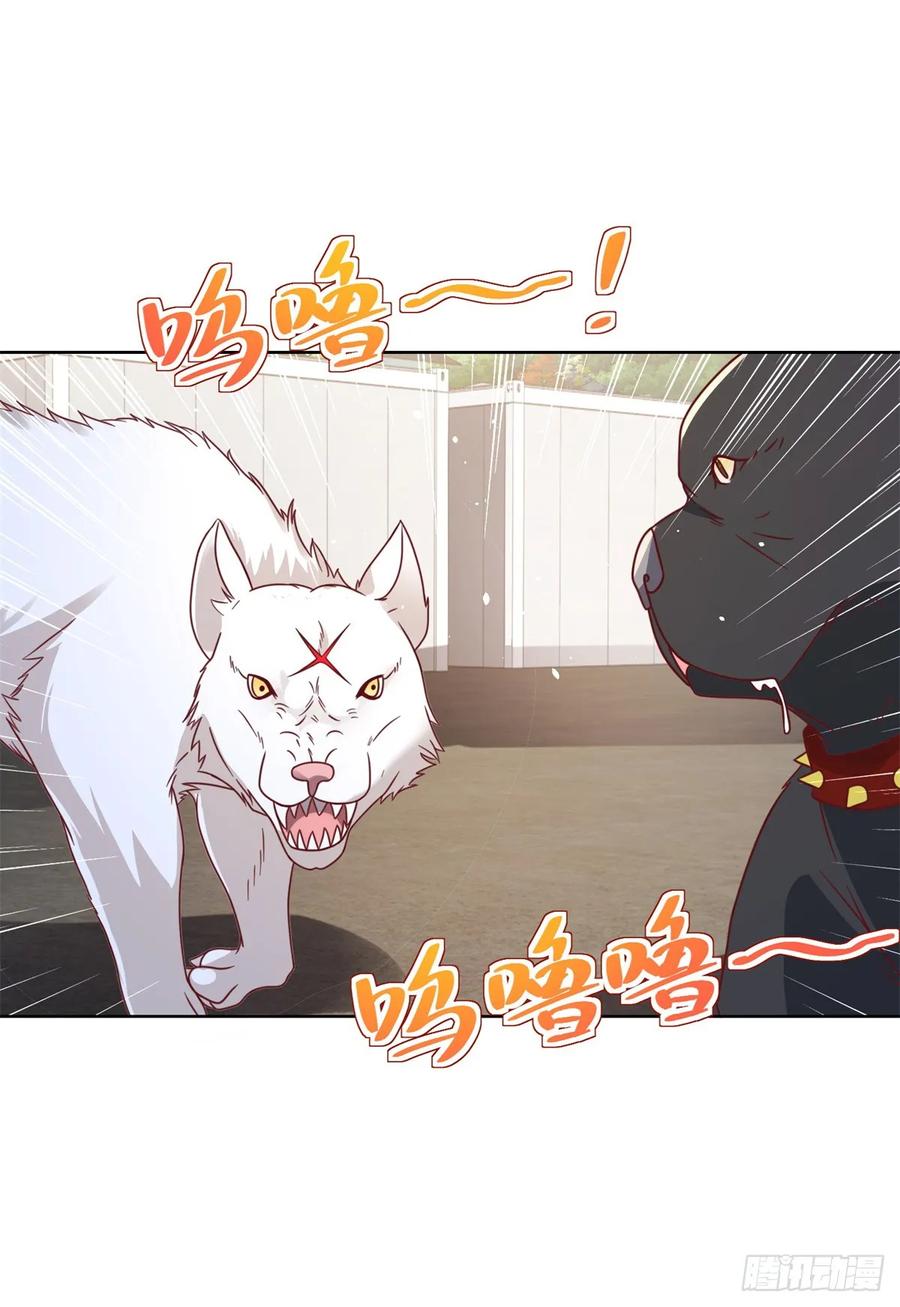 《大反派》第89话 私人猎场 第21页