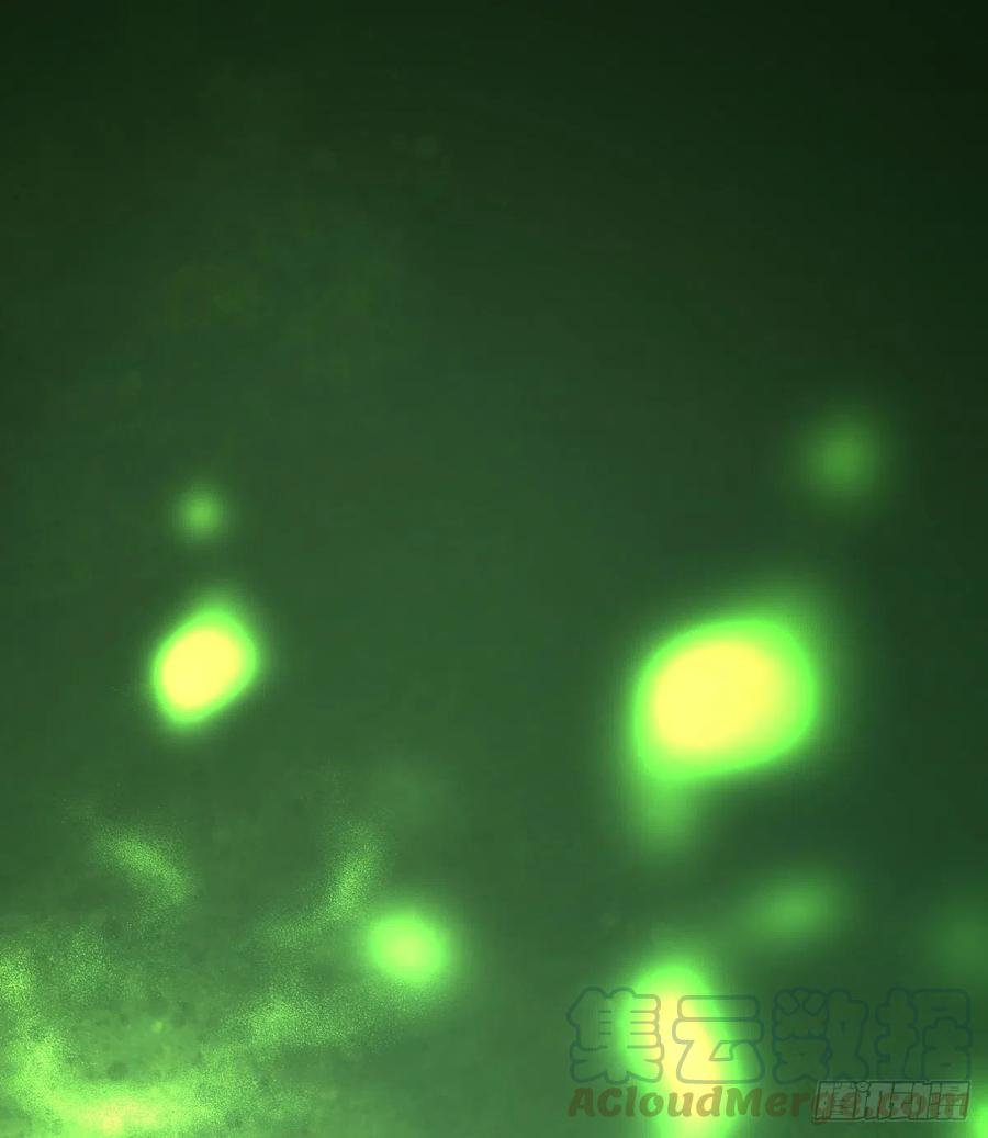 大反派名单（史上最强反派） - 破壳 - 第45张图