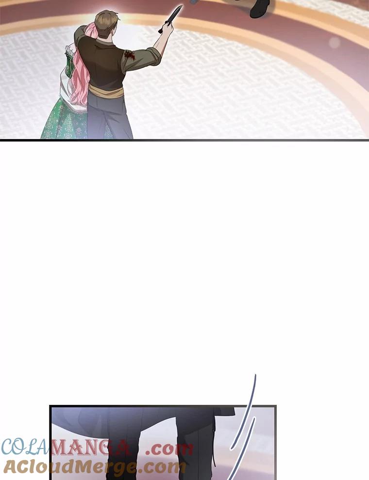《菲奥尼：预见我与恶魔大公的未来》20.拯救夏洛 第97页
