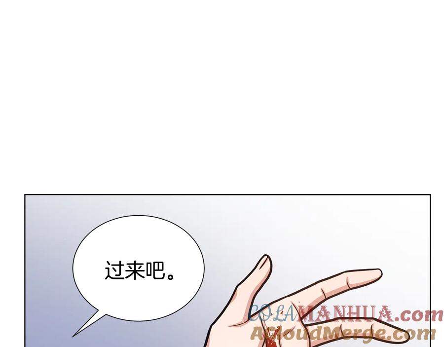 《骑士团的后花园》第55话 篡夺皇位 第105页