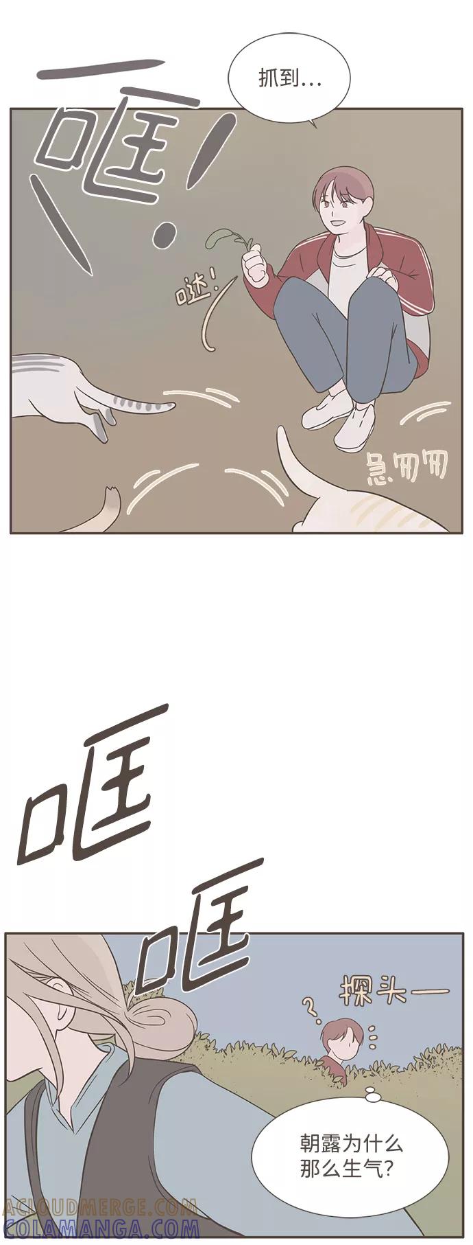 《我的第一个清晨》第38话 第13页