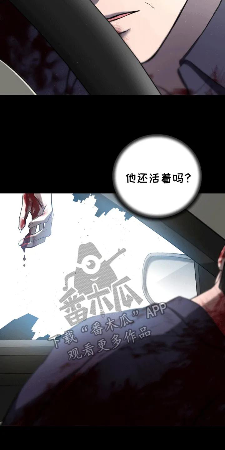 《大哥变身高中生》第2章：车祸 第28页
