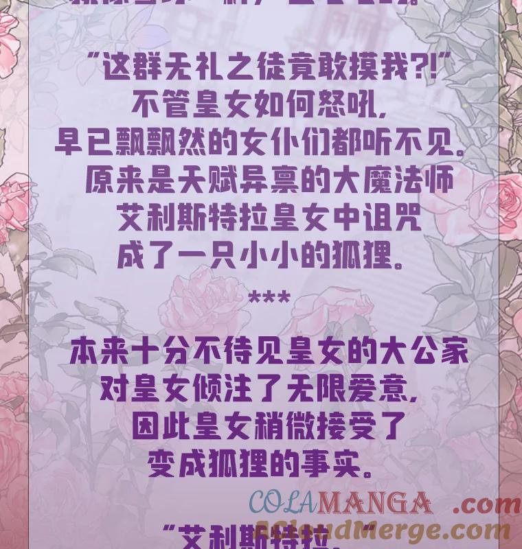 《大公家的狐狸皇女》新作来袭 第3页