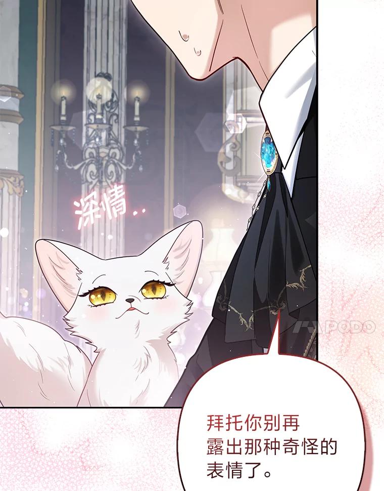 《大公家的狐狸皇女》9.化身乖巧小狐狸 第7页