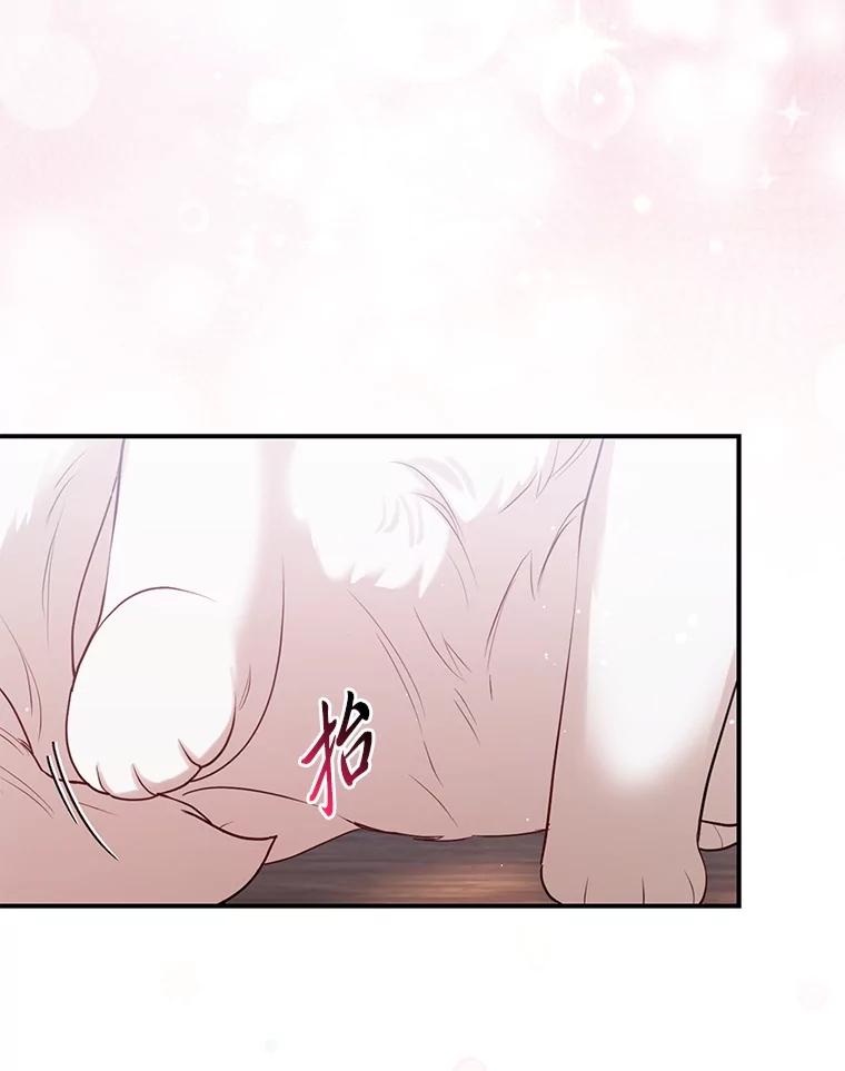 《大公家的狐狸皇女》9.化身乖巧小狐狸 第76页