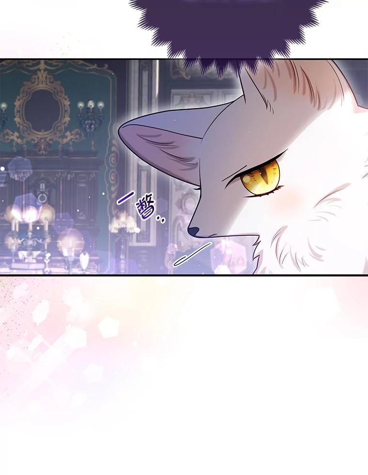 《大公家的狐狸皇女》9.化身乖巧小狐狸 第28页