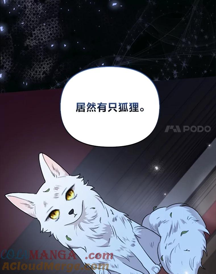 《大公家的狐狸皇女》1.皇女的葬礼 第33页