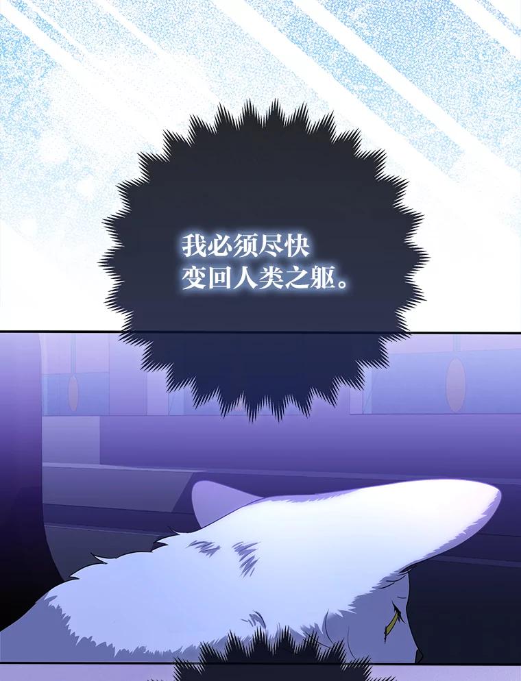 《大公家的狐狸皇女》2.坎坷的人生 第84页