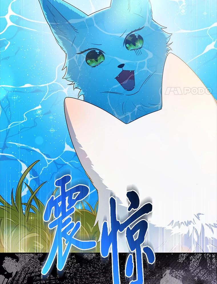 《大公家的狐狸皇女》2.坎坷的人生 第64页
