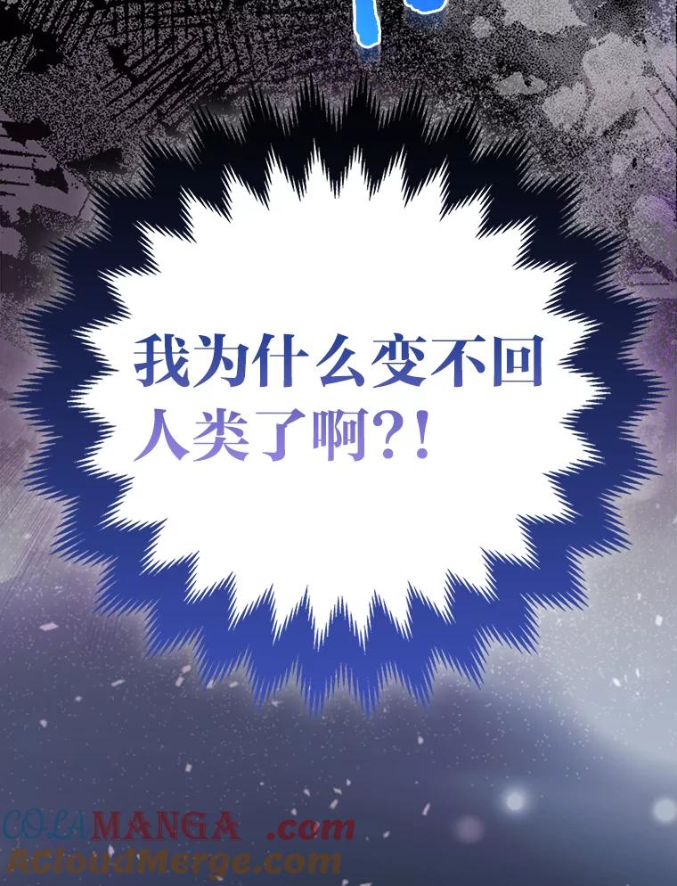 《大公家的狐狸皇女》2.坎坷的人生 第65页