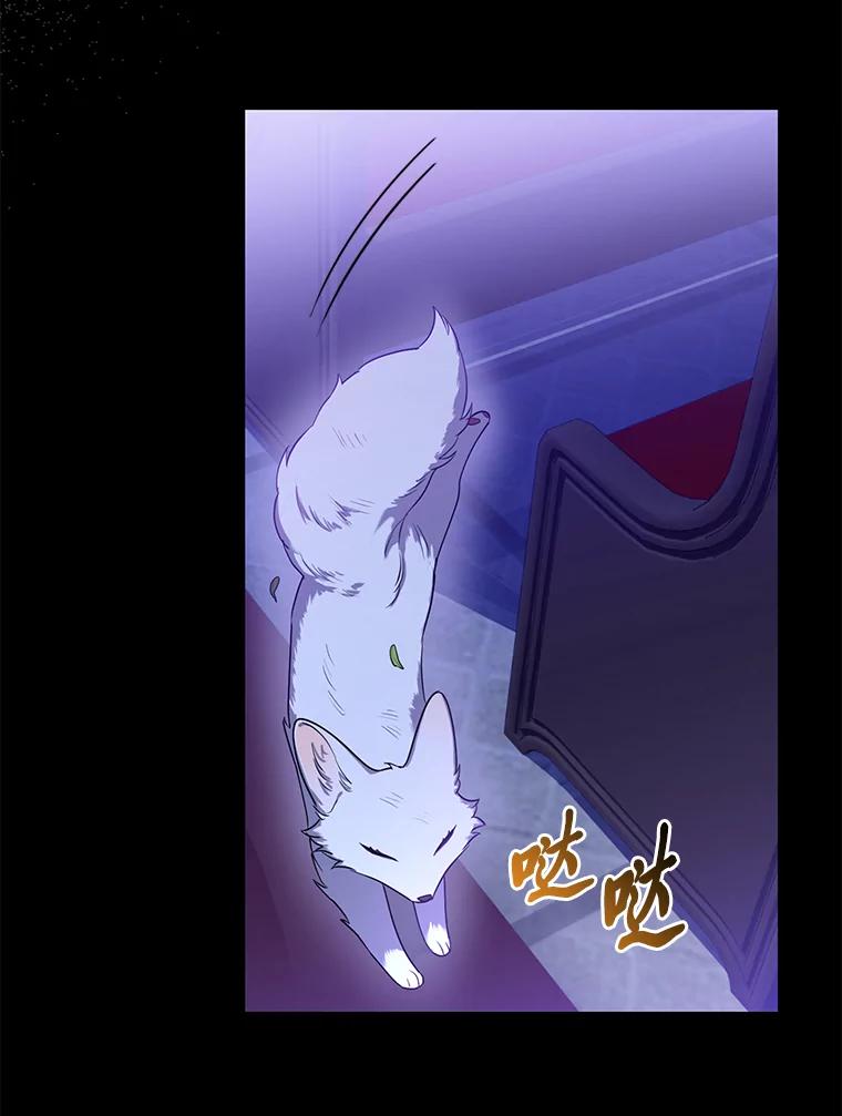 《大公家的狐狸皇女》2.坎坷的人生 第115页