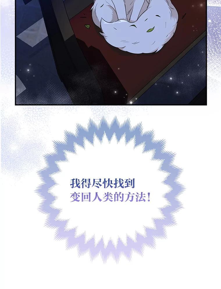 《大公家的狐狸皇女》2.坎坷的人生 第78页