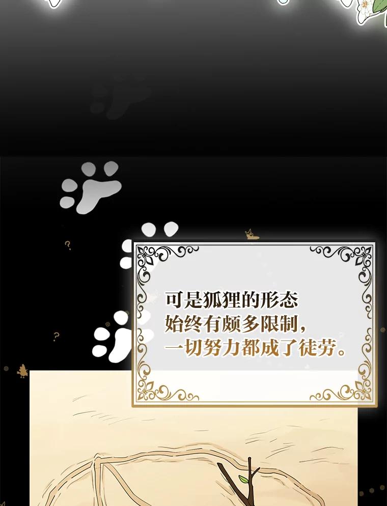 《大公家的狐狸皇女》2.坎坷的人生 第68页