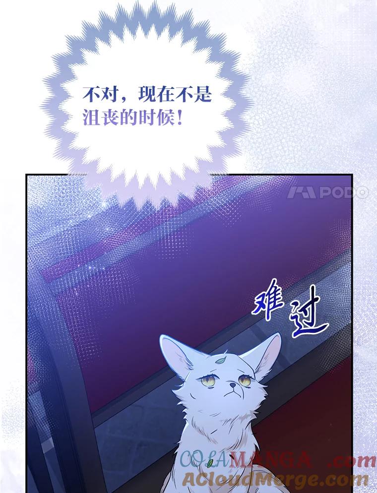 《大公家的狐狸皇女》2.坎坷的人生 第77页